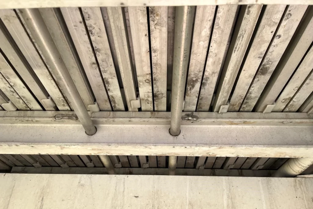 Détails fond mouvant 2